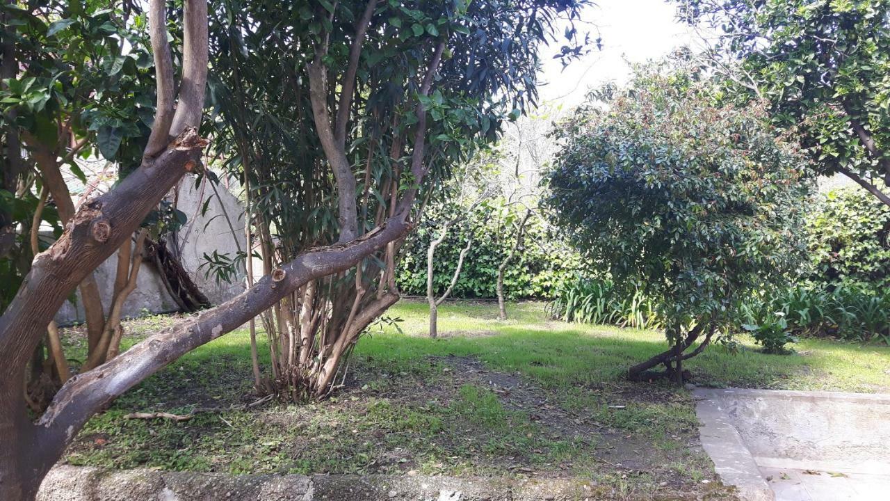 Апартаменты Giardino Labruto Мессина Экстерьер фото