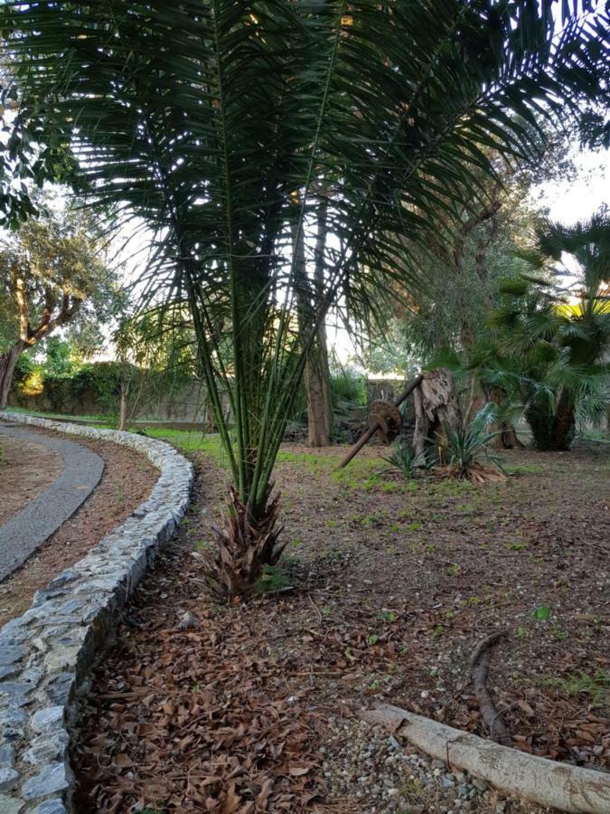 Апартаменты Giardino Labruto Мессина Экстерьер фото